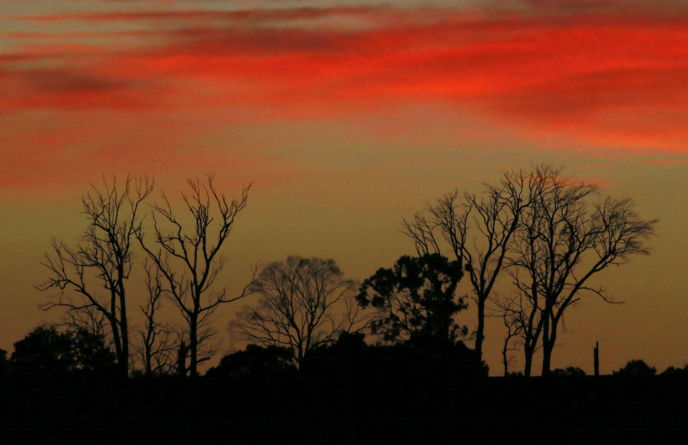 Día de la Tierra: emergencia sanitaria, climática y ambiental