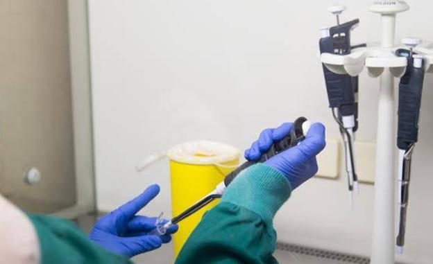 Un test para detectar el coronavirus a pie de calle se basa en un hallazgo de Margarita Salas