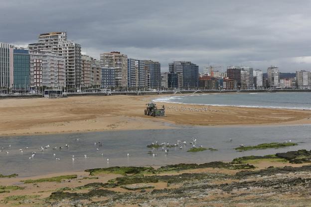 Emulsa rocía con fungicida y bactericida la zona de arena seca tras la apertura de la playa