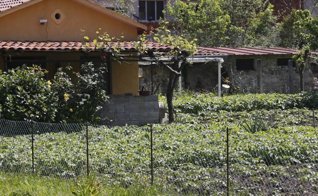 Autorizado el cuidado de huertos a partir del 2 de mayo