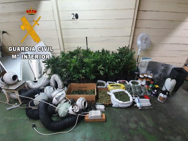 Desmantelada una plantación interior de marihuana en una nave de Valdés