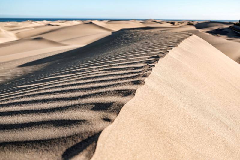 Las dunas de Maspalomas se recuperan gracias al confinamiento