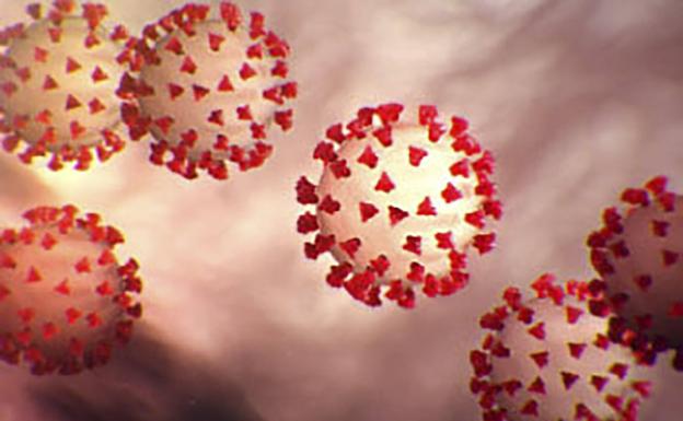 Confirman en Japón un anticuerpo que puede suprimir el coronavirus