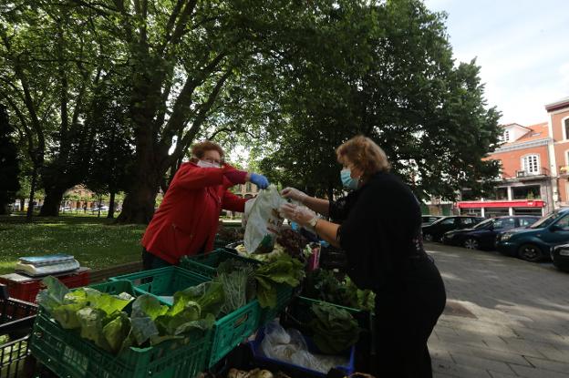 Las zabarceras vuelven a vender con la vista puesta en la apertura de la plaza