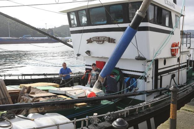 «Esperamos una buena costera de bonito porque hay bocarte y sardina»