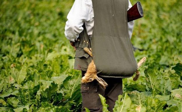 El Principado reincorpora este lunes a los agentes del Medio Natural para dar cobertura a las actividades de caza y la pesca