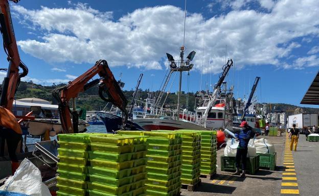 La lonja de Gijón subasta 250.000 kilos de bocarte