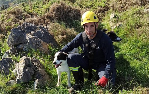 Los Bomberos de Llanes rescatan a un perro atrapado en una grieta en Ballota