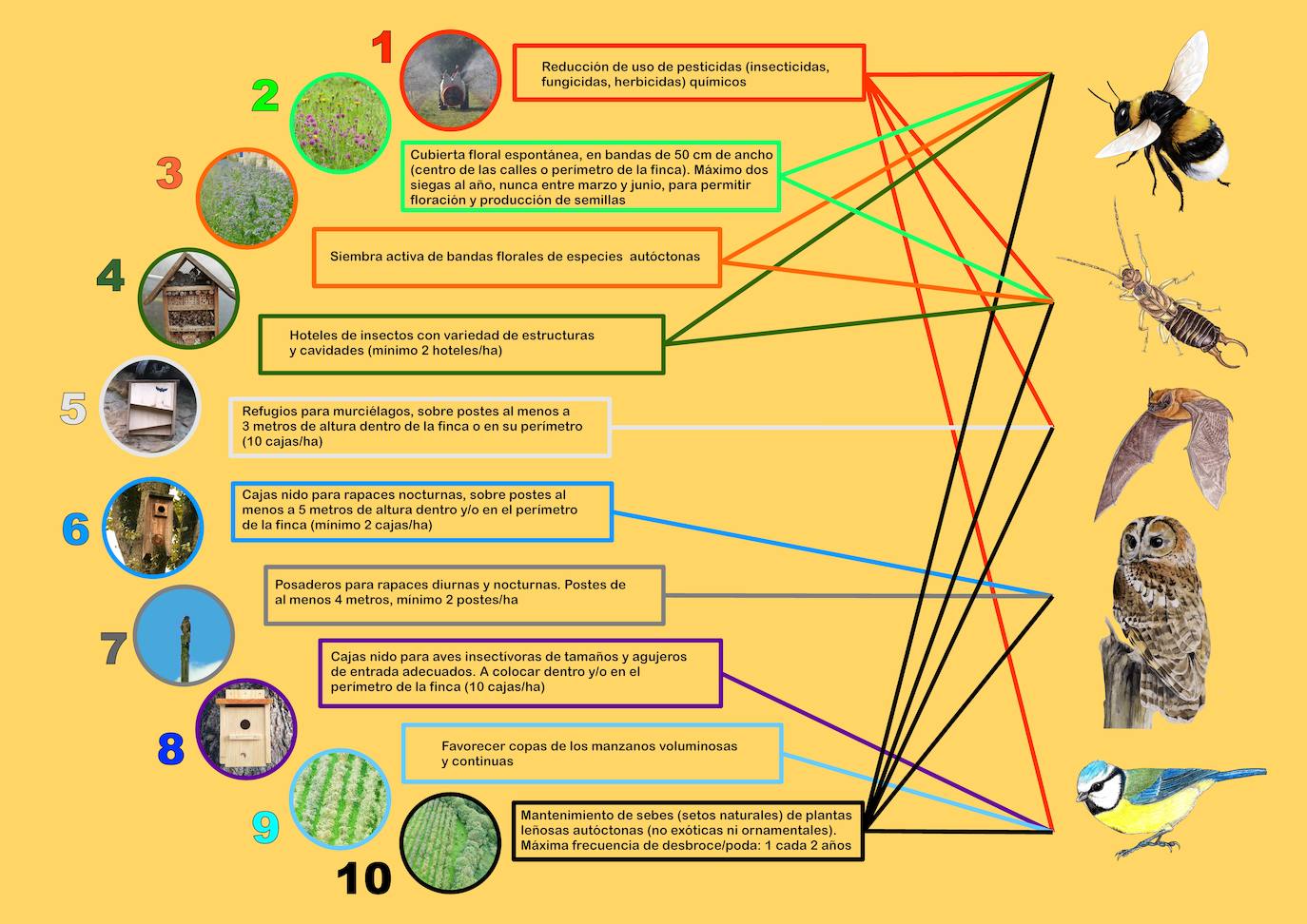 Decálogo para una pumarada sostenible