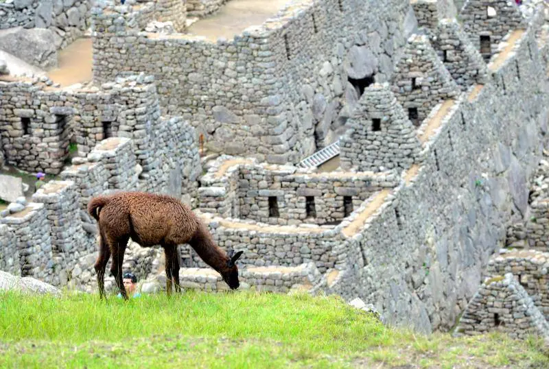 Las ruinas de Machu Picchu, preparadas para los turistas