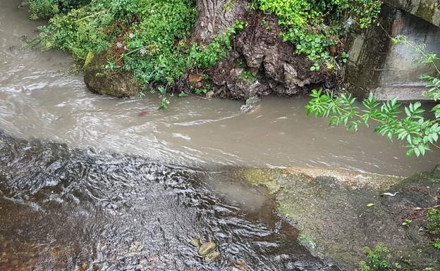 Los ecologistas denuncian un nuevo vertido al río Arlós