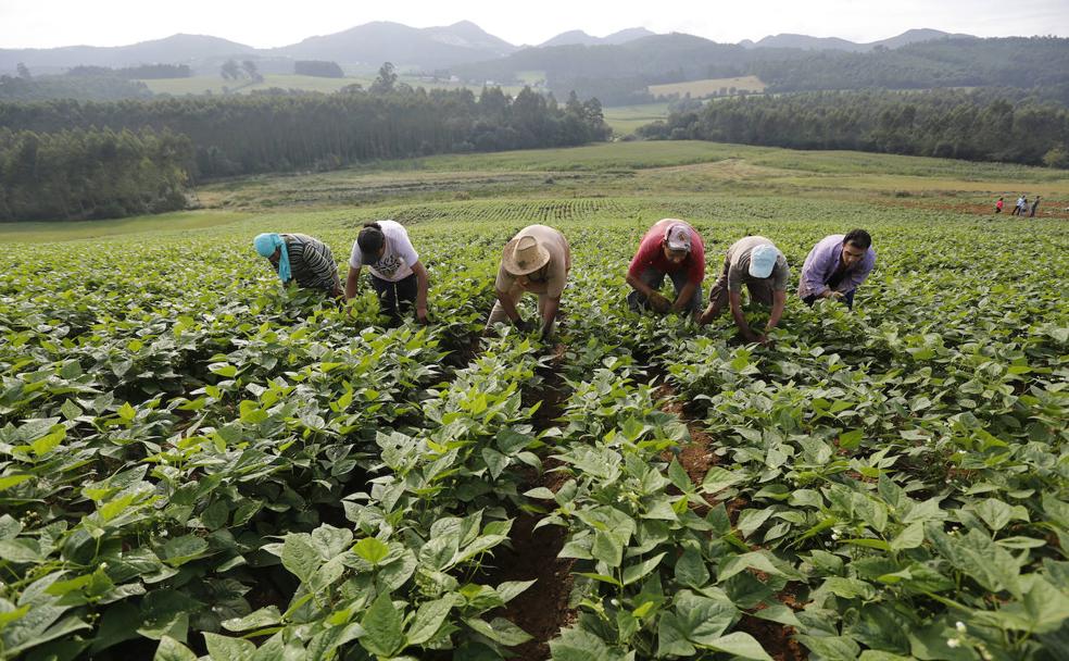 Una ley clave para garantizar el futuro del campo