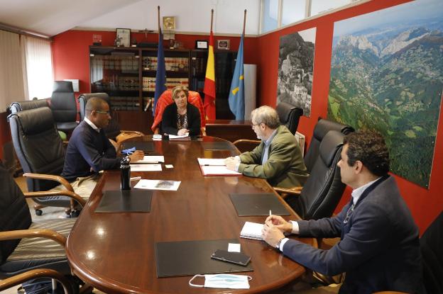 Una empresa de Riosa quiere levantar una planta de biomasa en el Pozo Monsacro