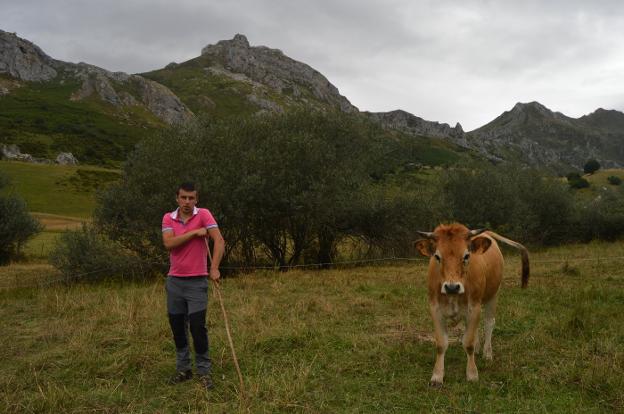 El juez reconoce el derecho al pasto en Valle de Lago al joven al que le «esconden» las vacas