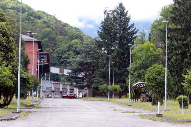 La empresa que puja por los terrenos del Monsacro quiere suministrar biomasa a Hunosa