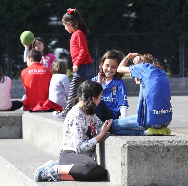 Caen un 75% las solicitudes del programa de apertura de colegios en verano