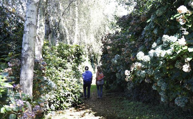 Reabren los Jardines de la Fonte Baixa