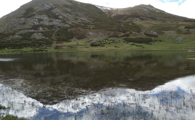 Fallece un hombre de 59 años embestido por un toro en León
