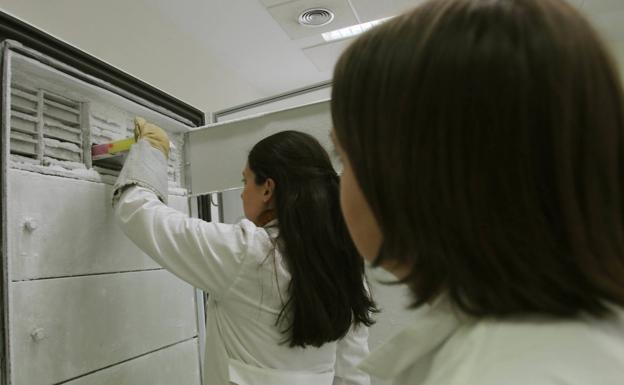 El análisis de la microbiota de sanitarios para obtener modelos predictivos del organismo contra el COVID-19