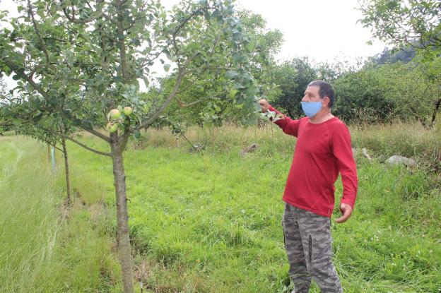 «Hay superpoblación de jabalíes, la Administración tiene que tomar medidas»
