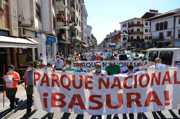 Los ganaderos exigen un nuevo plan del lobo que permita «actuar con inmediatez»