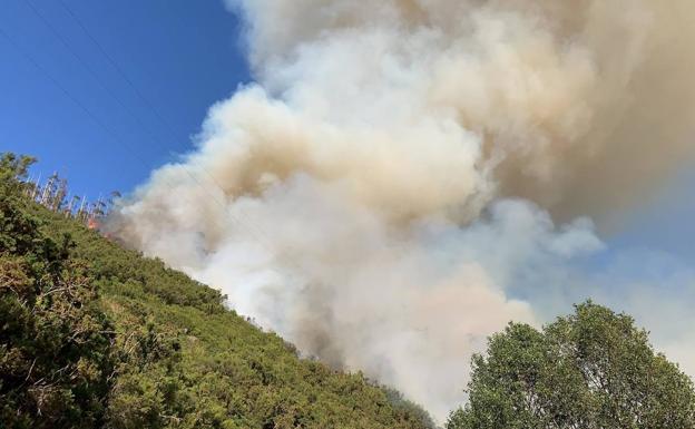 Sofocan un incendio forestal en As Veigas, Taramundi