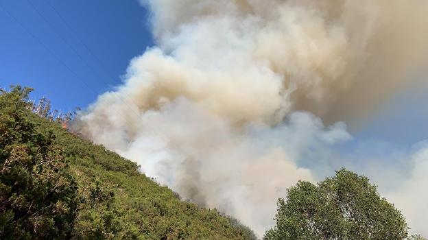 Amplio despliege para sofocar un incendio forestal con varios focos en Taramundi