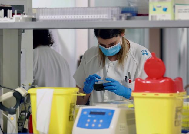 Un joven que regresó tras una estancia en un camping de Huesca, nuevo positivo en Asturias