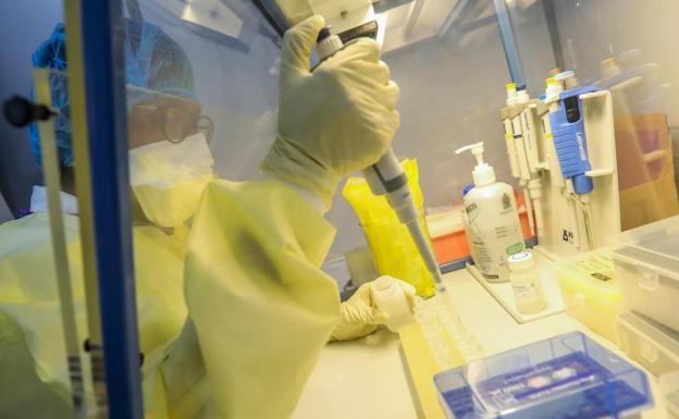 Coronavirus Asturias Registra Dos Nuevos Positivos Relacionados