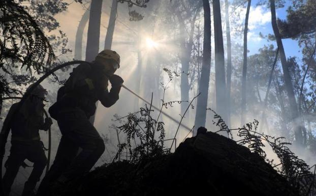 Asturias, en la lucha contra el fuego en Galicia