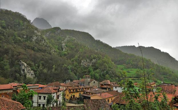 Ingresado en el HUCA tras ser mordido por una víbora en Ponga: «En cuestión de minutos comenzó a sentir dolor y dificultad para respirar»