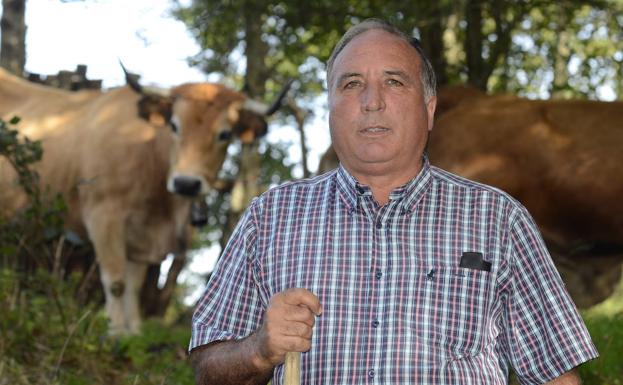 Fallece Valeriano Remis, principal impulsor de la recuperación de la raza Asturiana de la Montaña