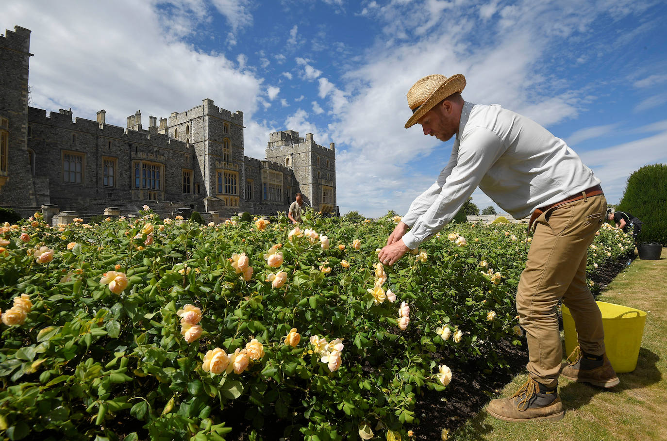 El jardín secreto de la reina de Inglaterra