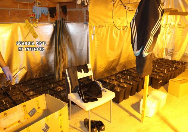 Un email anónimo lleva a desmantelar una plantación de marihuana en Oviedo