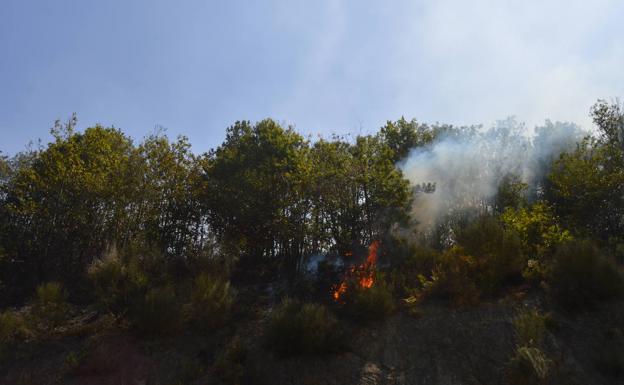 Los bomberos trabajan en la extinción de un incendio forestal en Carriles, Tineo