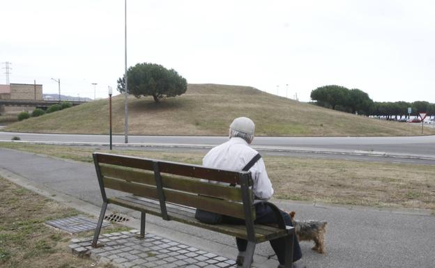 Hallan el cadáver de un hombre en la rotonda de El Arbeyal que llevaba varios días muerto