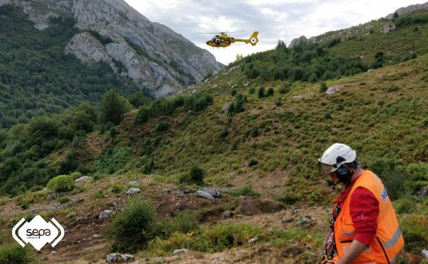 Evacuado un ganadero en Amieva tras ser golpeado por una vaca