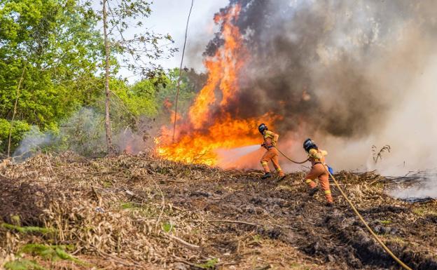 La nueva estrategia de prevención de incendios forestales recibirá 60 millones en seis años