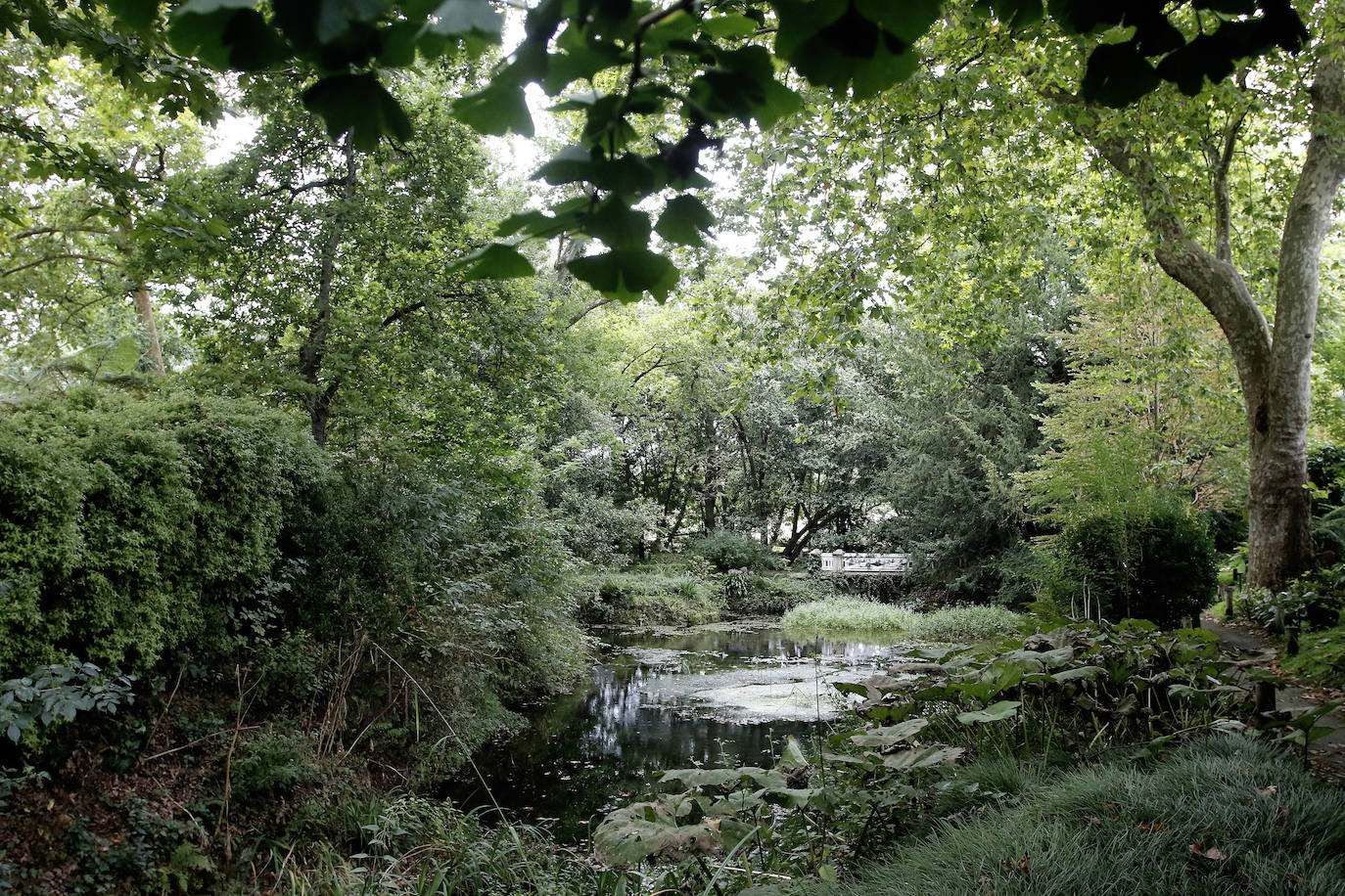 Así luce el Botánico