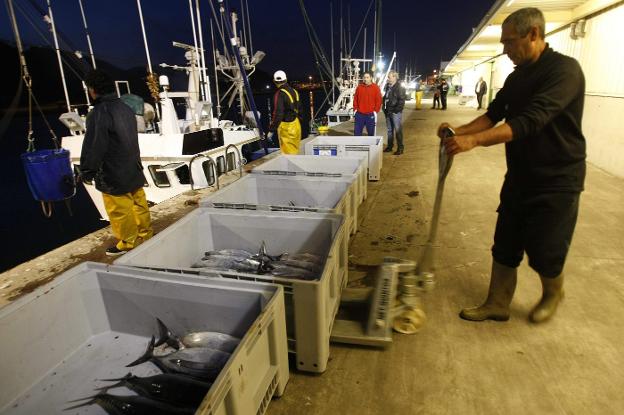 La costera del bonito concluye hoy a medianoche tras agotar toda la cuota