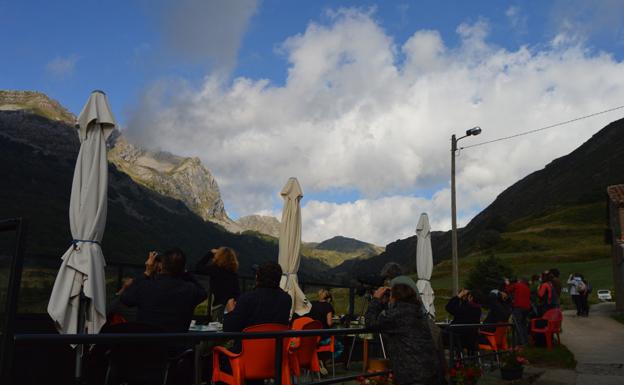 Desayuno con osos en Somiedo
