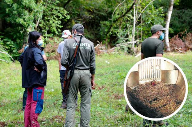 El oso de Santiago esquiva los cebos