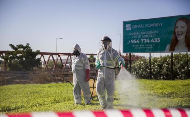 Un experto considera que la Fiebre del Nilo podría extenderse por toda España