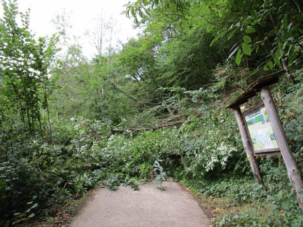 Blanco tilda de caso «aislado» el 'boicot' en la ruta del Alba y defiende un turismo de respeto al medio natural