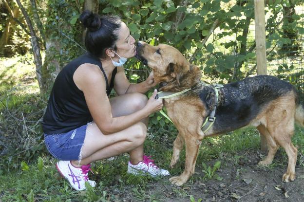 Más adopciones en un verano con menos viajes