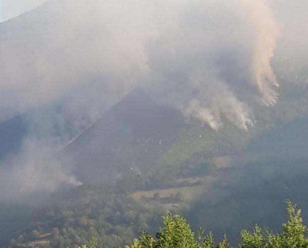 Amplio dispositivo para controlar un incendio en las cercanías de Muniellos