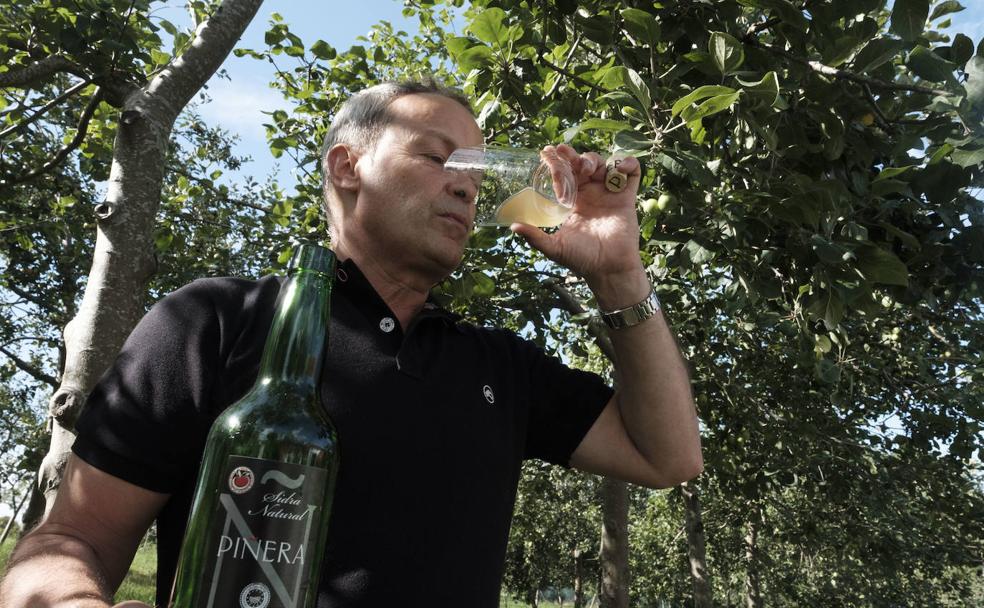 Enólogos, los guardianes de la buena sidra