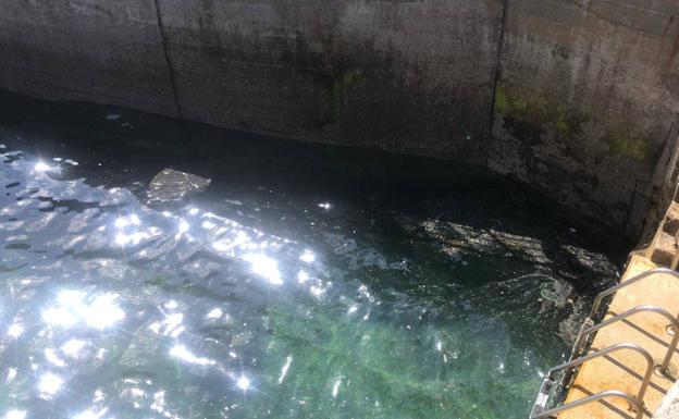 Vídeo | Así quedó el agua en San Lorenzo por un vertido de gasoil