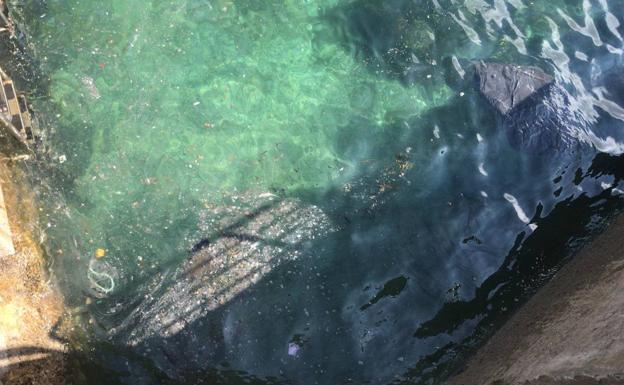 Bandera roja en la playa de San Lorenzo por una mancha de gasoil