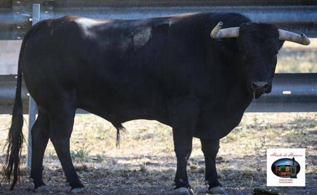 La Comunidad de Madrid suspende la feria taurina de Alcalá «por prudencia» ante el Covid